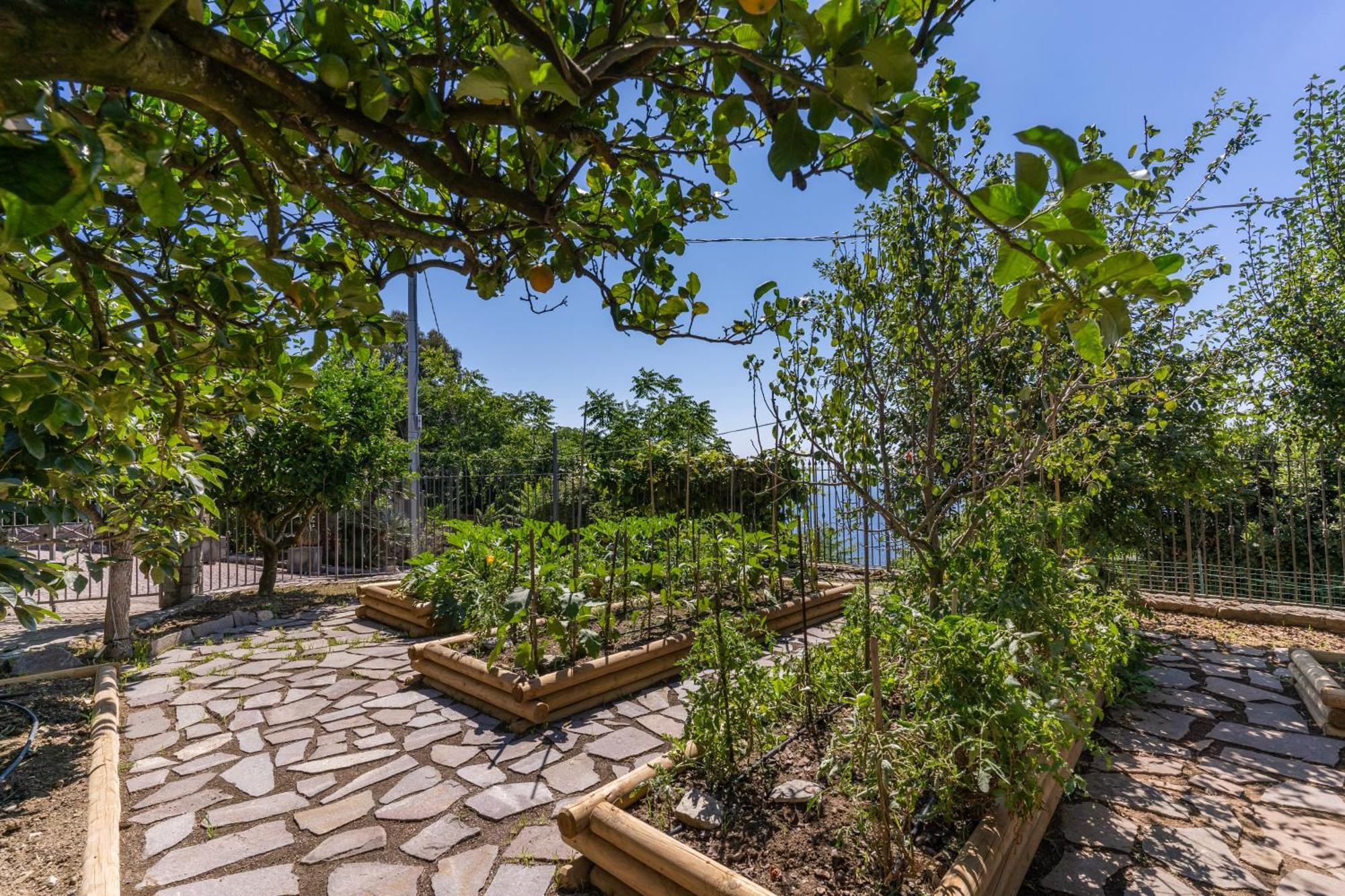 Villa Solatia Massa Lubrense Luaran gambar